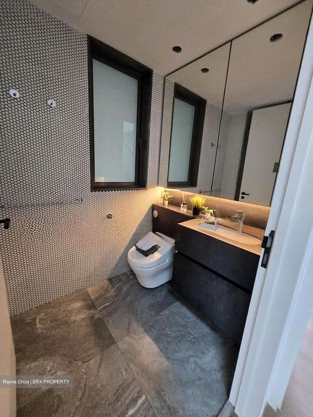 10 Evelyn (D11), Apartment #609573231